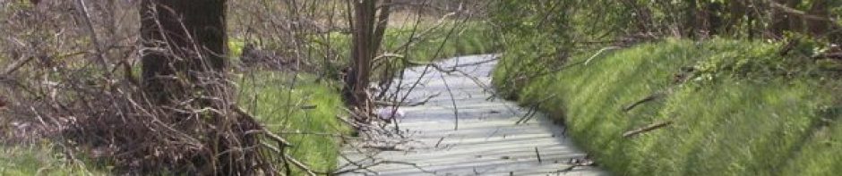 Buurtvereniging van Gracht tot Meer