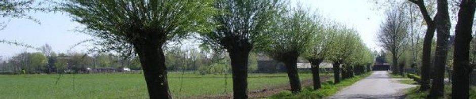 Buurtvereniging van Gracht tot Meer