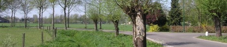 Buurtvereniging van Gracht tot Meer