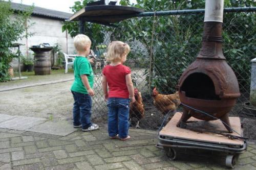 Buurtfeest2010 (65)