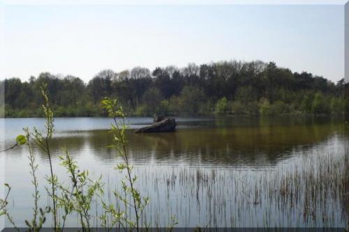 Fotozoektocht-2010 (10)