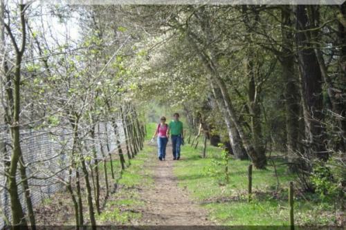 Fotozoektocht-2010 (12)