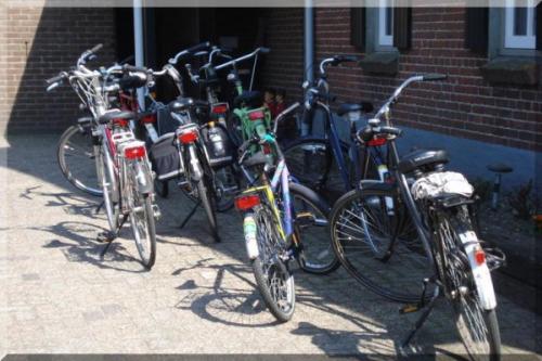Fotozoektocht-2010 (2)