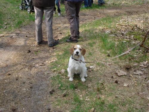 Fotozoektocht2011 (12)