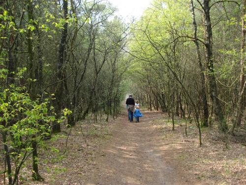 Fotozoektocht2011 (4)