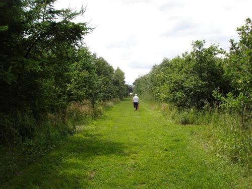 13Hectare2012 (31)