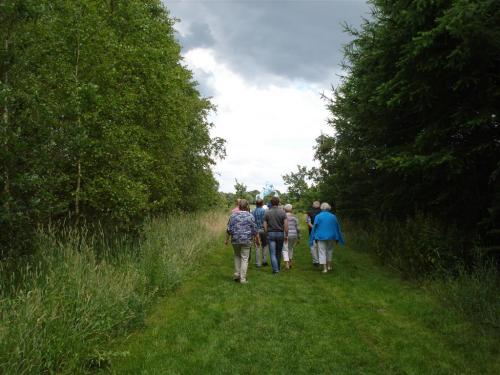 13Hectare2012 (32)
