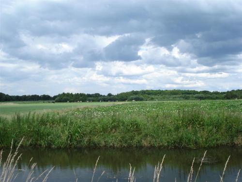 13Hectare2012 (37)