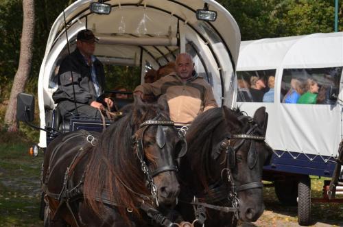 Buurfeest-2012 (3)