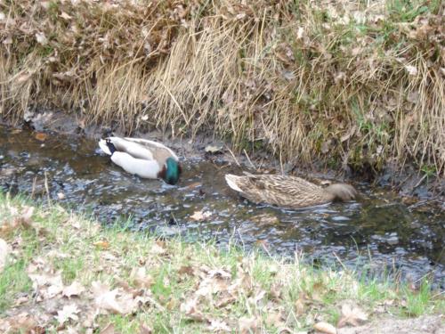 Fotozoektocht2012 (3)