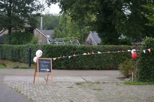 Buurtfeest2013 (1)