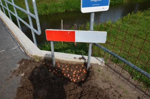 Buurtfeest2014 (14)