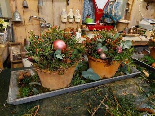 20221214 213800 Kerststukjes-Moes-en-Tuin