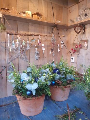20221214 214032 Kerststukjes-Moes-en-Tuin